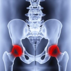 male pelvis under the X-rays. joints are highlighted in red.